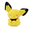 Pokemon Curly Pichu 10"